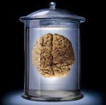 brain in a vat